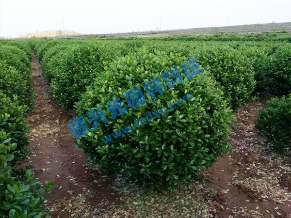 �c���鿴Ԕ����Ϣ���}�����~�S���� ��x�Δ���2583