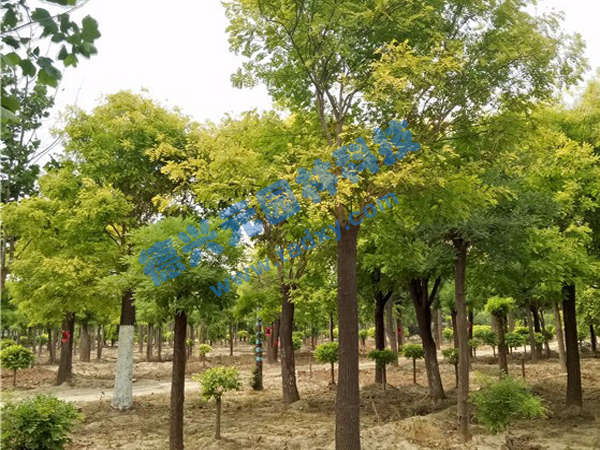 �c���鿴Ԕ����Ϣ���}�����~�� ��x�Δ���2350