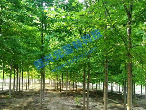 �c���鿴Ԕ����Ϣ���}�������t�� ��x�Δ���2072